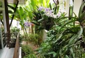 Kiri Nakara 2bed 2 bath Pool Villa for sale