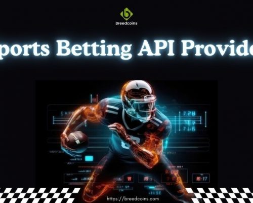 SportsBettingAPIProvider
