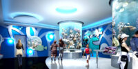 Zoo Aquarium Design and Consultants Services