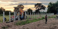 Wildlife Park Construction Services in Thailand